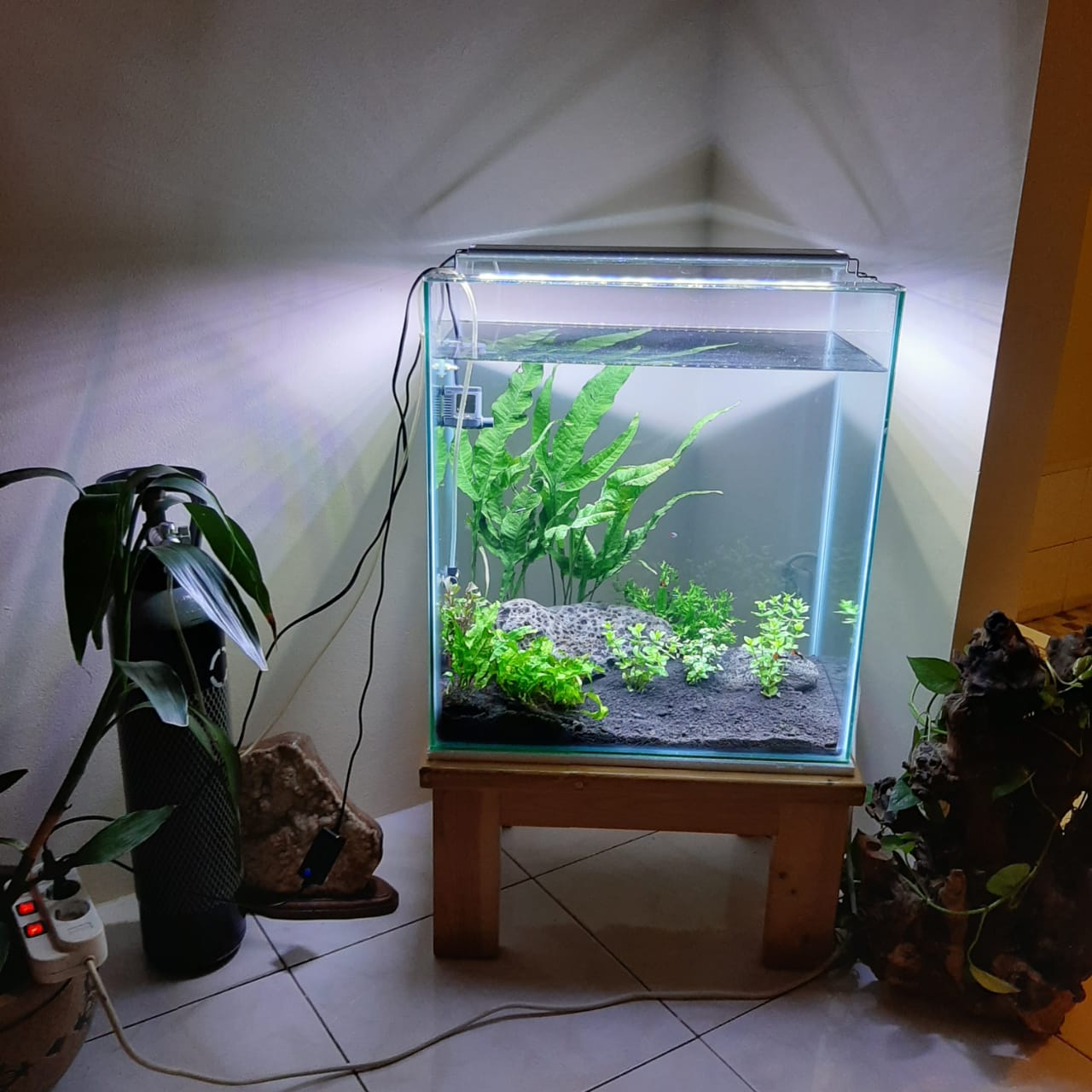 akuarium hidroponik